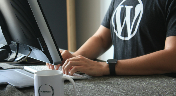 wordpress web designers